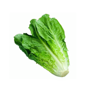 Lechuga Costina