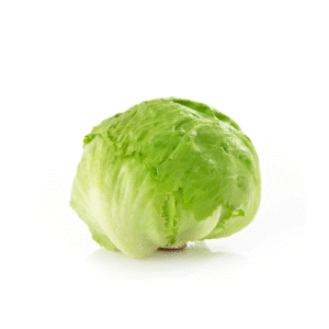 Lechuga Escarola