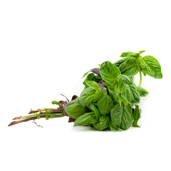 albahaca Albahaca (venta x atado)