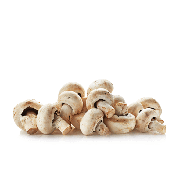 CHAMPIÑON SEGUNDA (Venta x kilo)