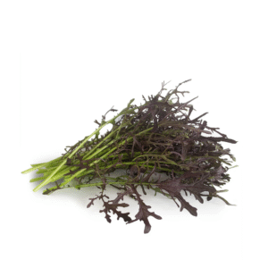 Mizuna Morada (venta por atado)