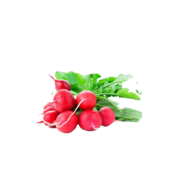 rabanos Rábanos (venta x atado)