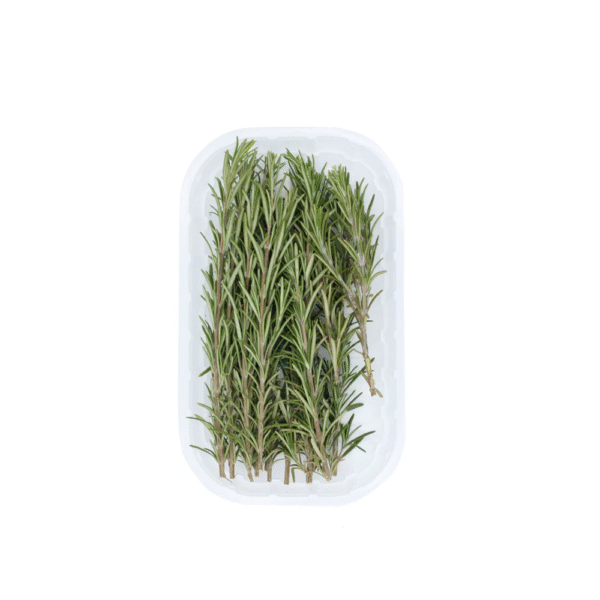 Romero Fresco (venta por bandeja)
